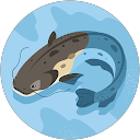 Edwin Electro profielfoto